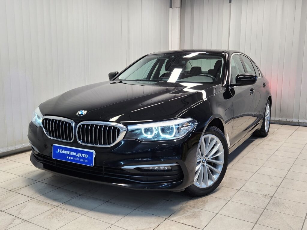 BMW 530, image 2