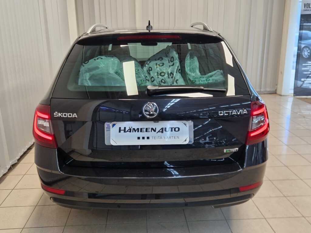 Skoda Octavia, image 6