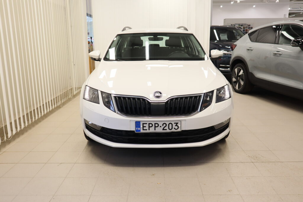 Volkswagen Passat, image 2
