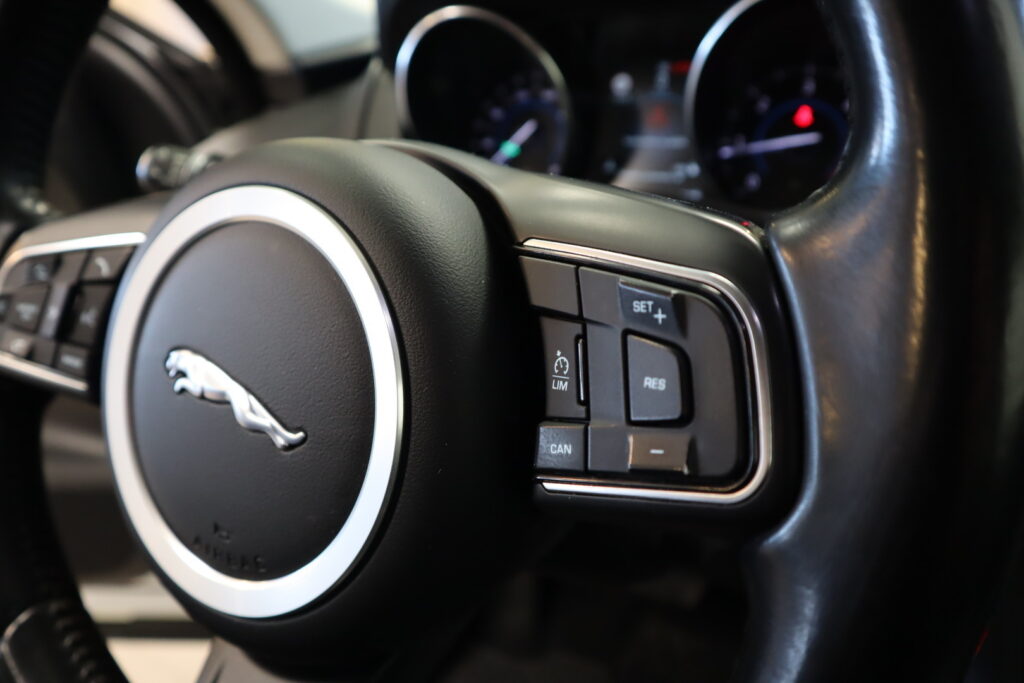 Jaguar F-PACE, image 19