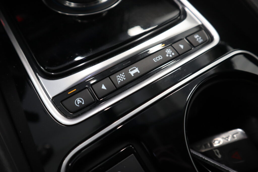 Jaguar F-PACE, image 20